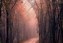 本田crv裸车价格 - crv本田2019款二手多少钱