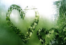 五粮液价格一览表图片系列（五粮液整箱价格一览表）(五粮液价格表及图片大全集)