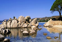 怎么减肥啊(怎么减肥啊简单又有效)(125×32怎样减肥)